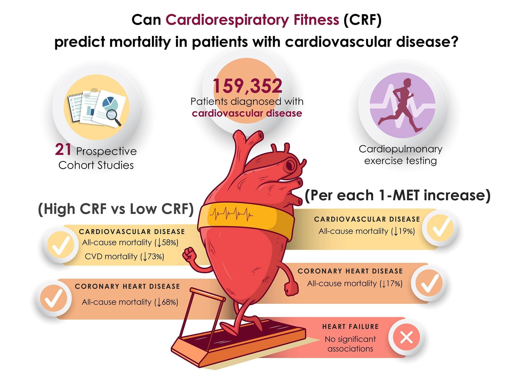 Exercise and Cardiovascular Mortality: The Link Explored
